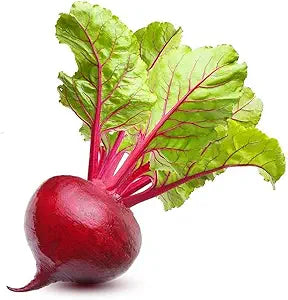 Beet Beta Vulgaris Ruby Queen Vegetable Seeds for Planting – Perfect for Canning, Pickling, and Raised Garden Beds