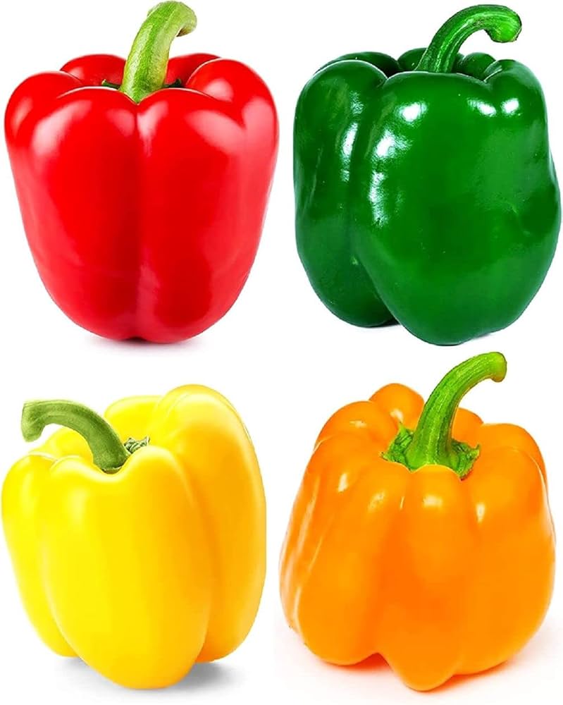 Certified Organic Chinese Giant Red Pepper Seeds – Seeds