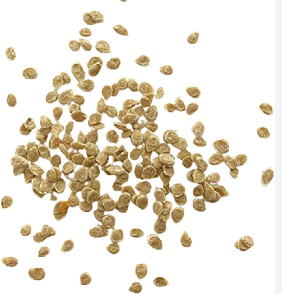 ACE 55 Heirloom Tomato Seeds for Delicious Homegrown Tomatoes