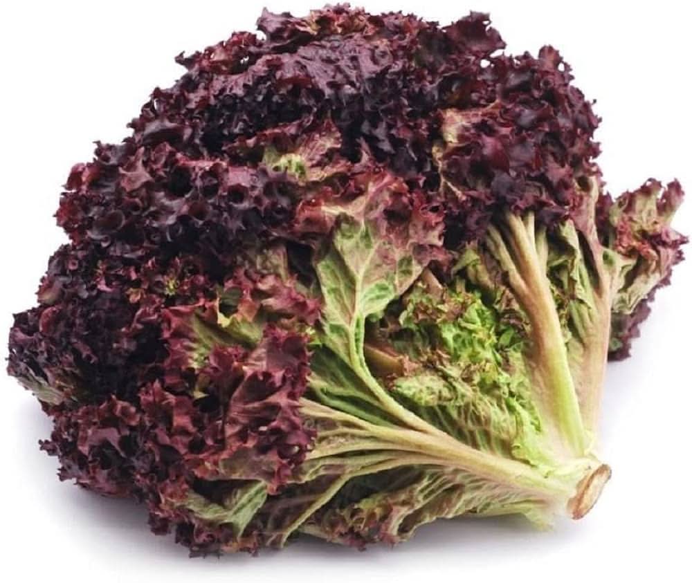 Ruby Red Lettuce Heirloom Vegetable Plant Seeds