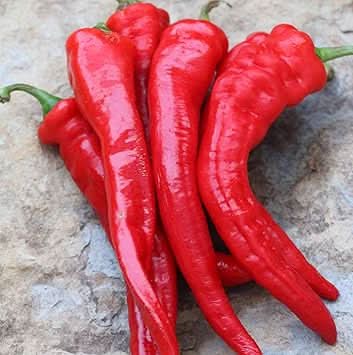 Deep Red Chili Seeds for Planting - heirloom & Non-GMO Seeds