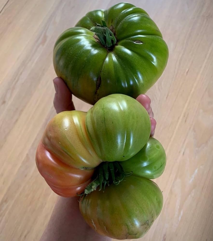 Rubys German Green-Pomodoro Seeds – Rare, Heirloom Tomatoes with Rich Flavor