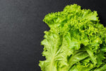 high-germination-non-gmo-fordhook-leafy-green-seeds

