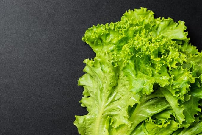 high-germination-non-gmo-fordhook-leafy-green-seeds

