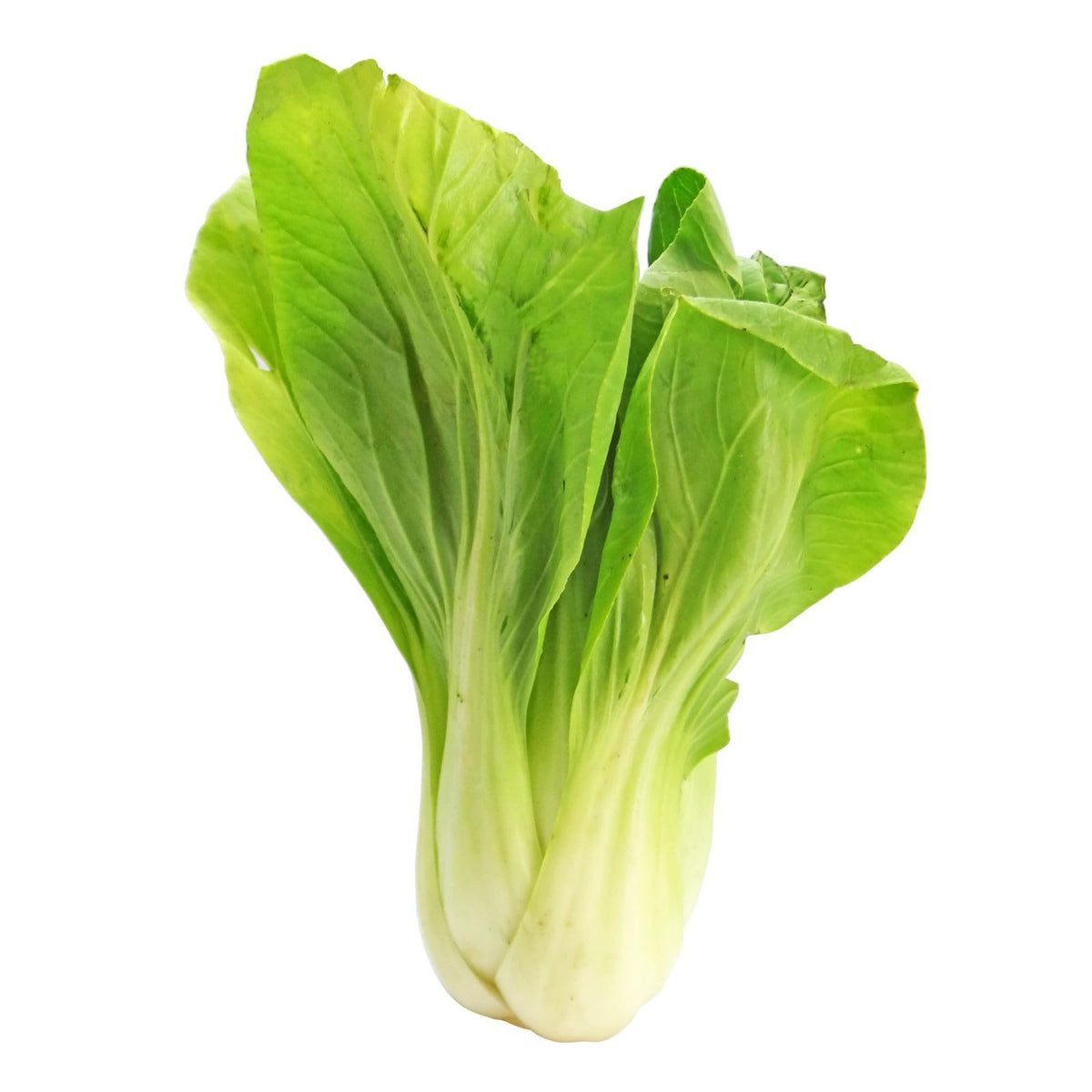 Organic Pak Choi Seeds for Planting for Vegetable Patch