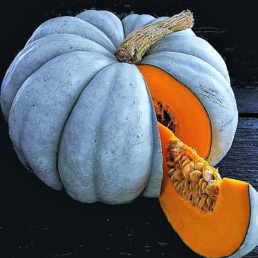 Blue Doll Pumpkin Seeds for Planting Jarradale Queensland Cinderella Doll – Heirloom, Non-GMO