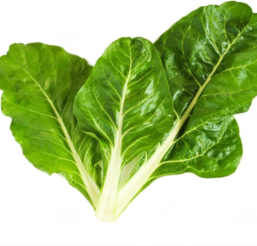 Green White Chard Seeds for Planting