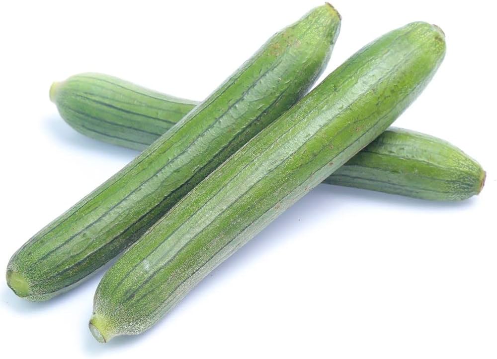 Sponge Gourd Hybrid F1 – Heirloom, Non-GMO, High Germination Organic Garden Seeds