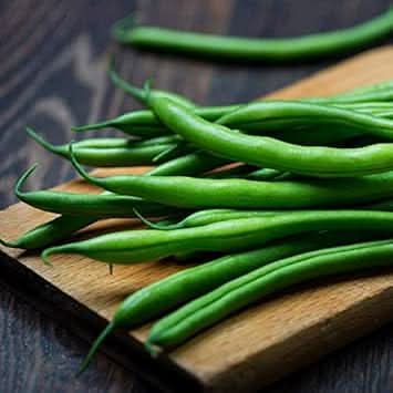 Green Lake Bean Seeds for Planting - Healthy Vegetable