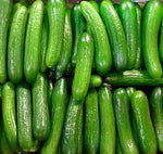 Boston Abbeizen Cucumber Seeds for classic vegetable garden planting