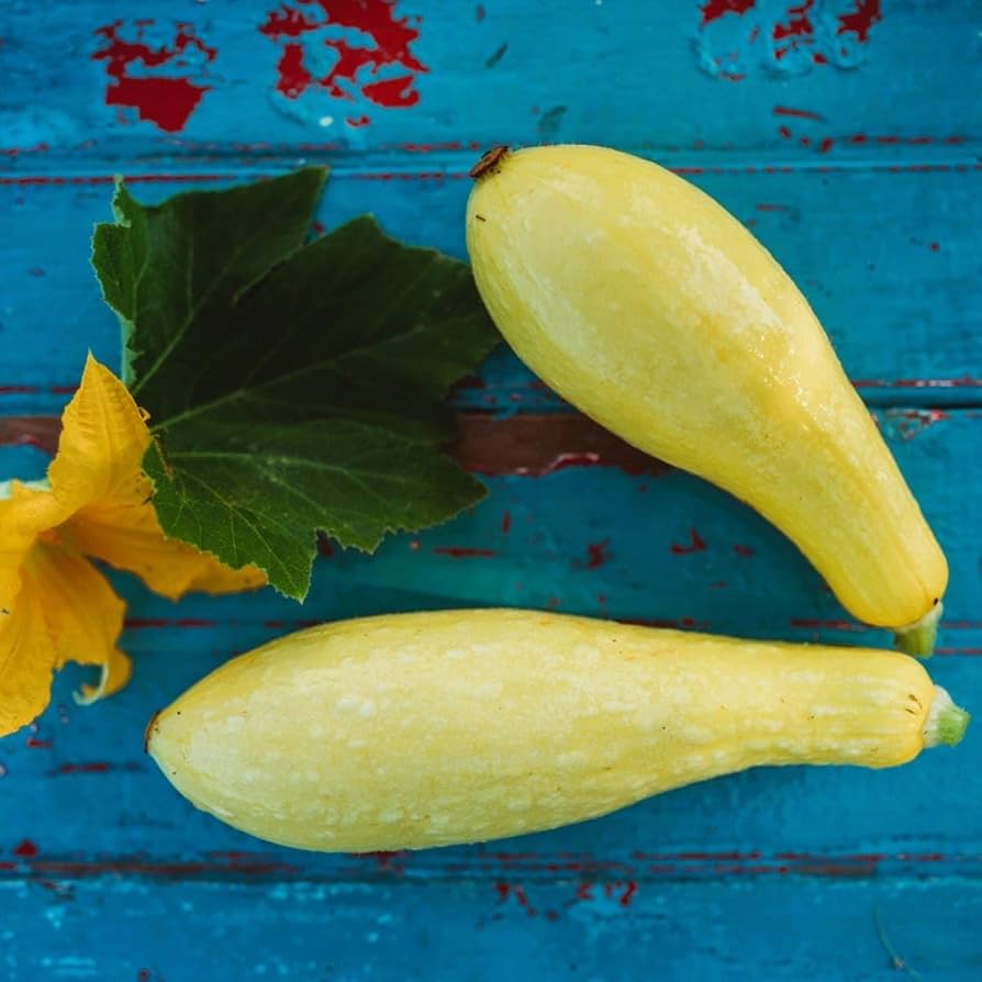 Straightneck Summer Squash Seeds – Productive Yellow Variety