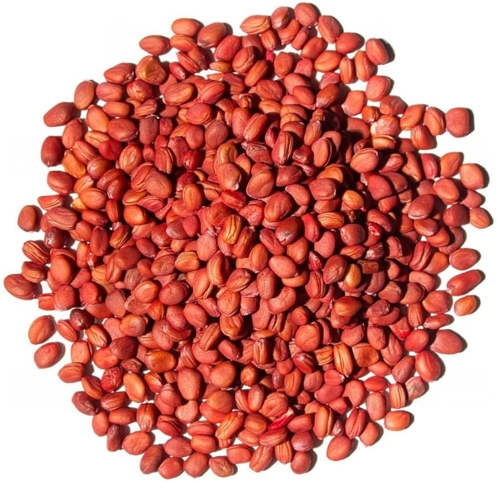 Radish Half Red Of – Heirloom, Non-GMO, High Germination Organic Garden Seeds