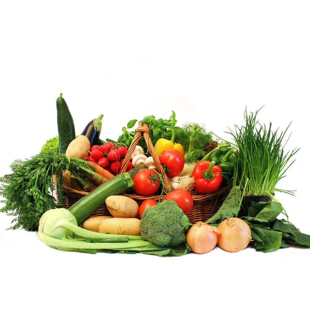 Heaven s Harvest Survival Seed Bank Kit Non-Hybrid Vegetables Seeds – Heirloom, Non-GMO, High Germination Organic Garden Seeds