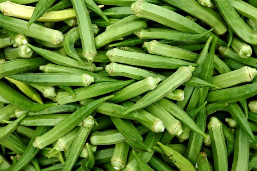 Okra Vegetable Abelmoschus esculentus Seeds for Planting Green