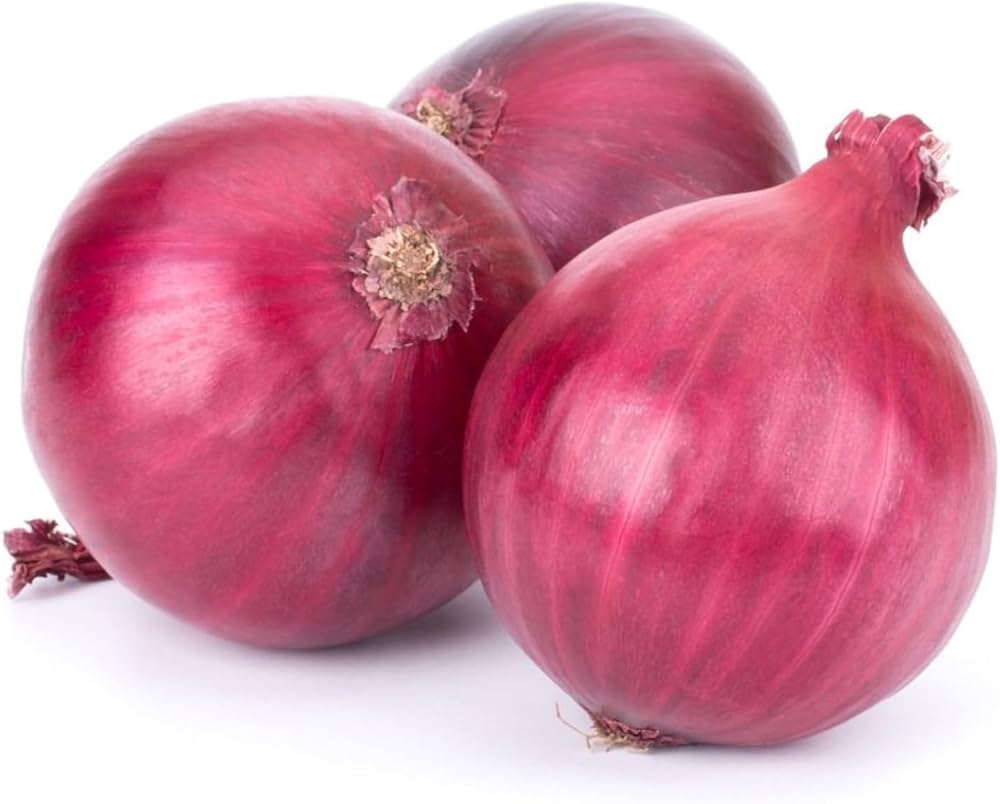 Brown Onions Allium cepa for planting in vegetable patch