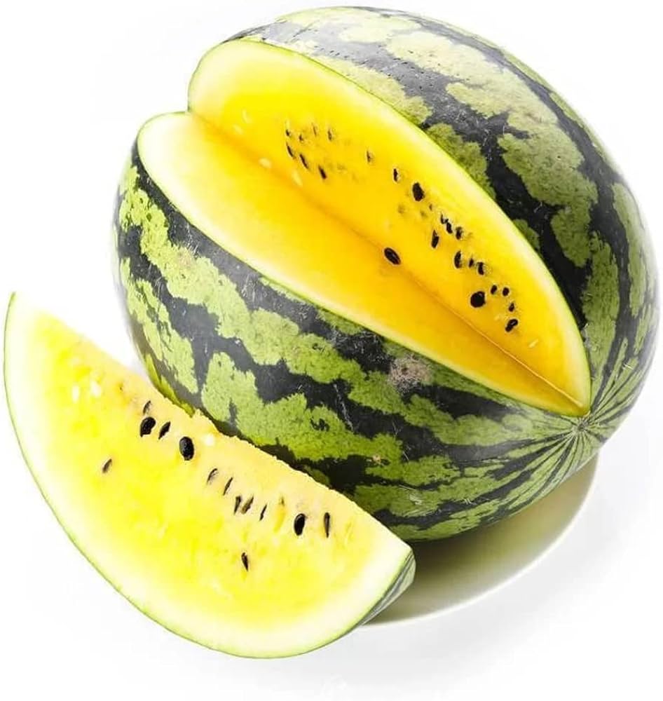 Yellow Flesh Watermelon – Citrullus lanatus – for planting in home garden vegetable patch