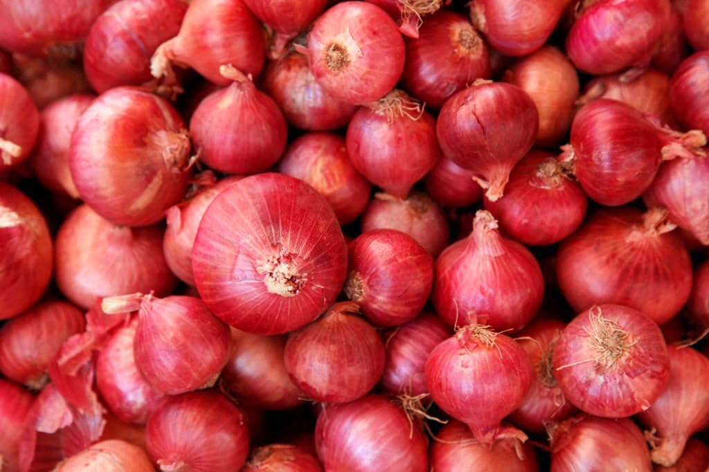 Red Onion Seeds pcs NT Quality