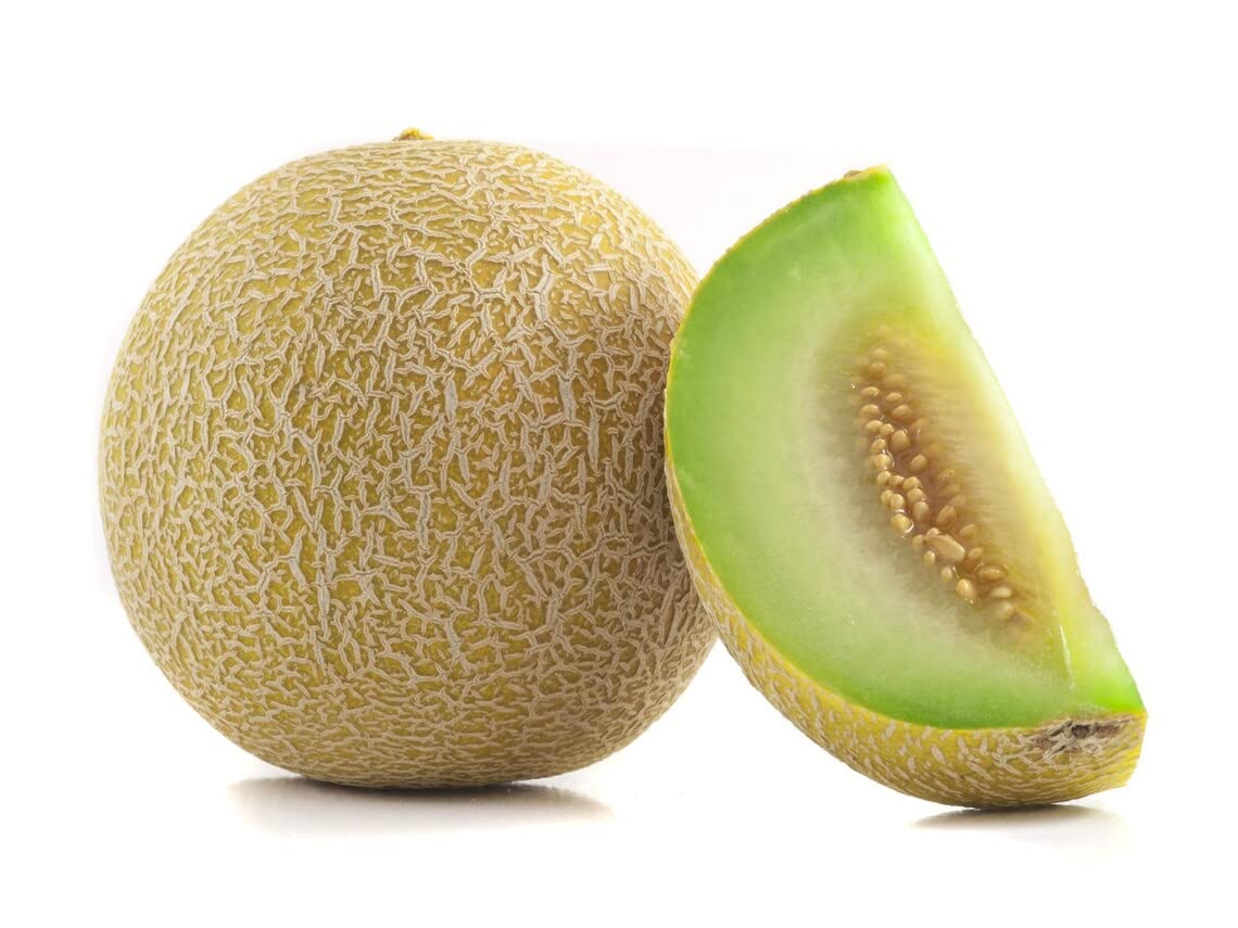 Honeydew Melon (Cucumis melo)