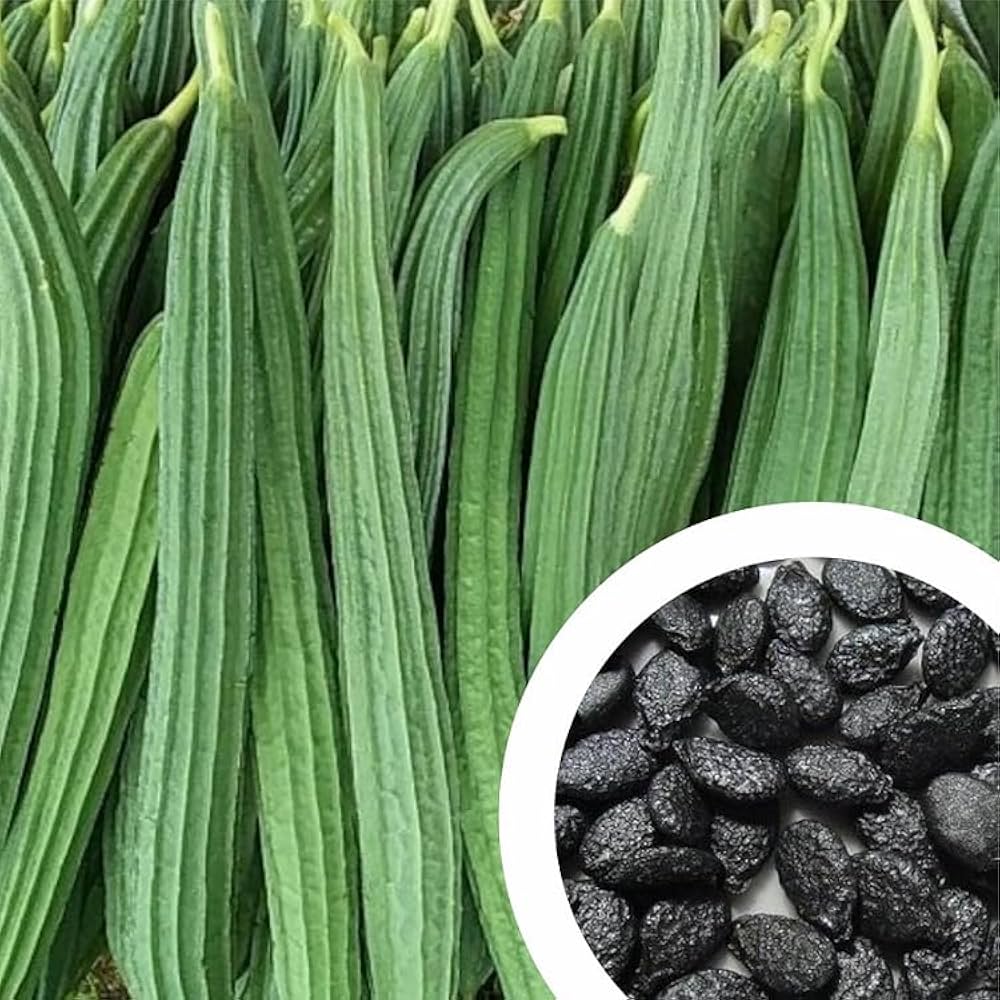 Gourd Seeds for Planting