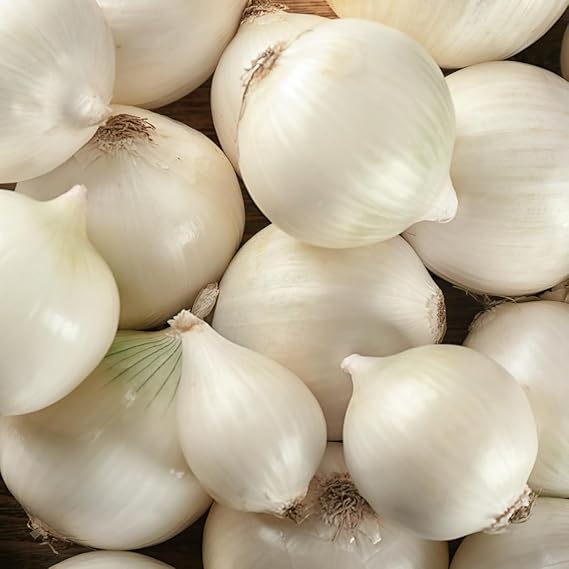 Onion Allium Cepa White Sweet Heirloom Vegetable Seeds for Planting – Mild and Crisp Variety for Kitchen Garden Use