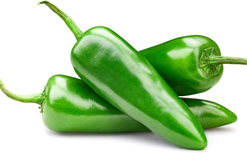 Chilean Bellflower Snowbird Seeds – + Seeds