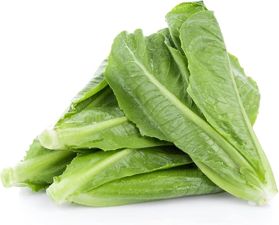 Lettuce Lactuca Sativa Spicy Cream Leafy Vegetable Seeds for Planting – Suitable for Urban Gardening and Fresh Harvests