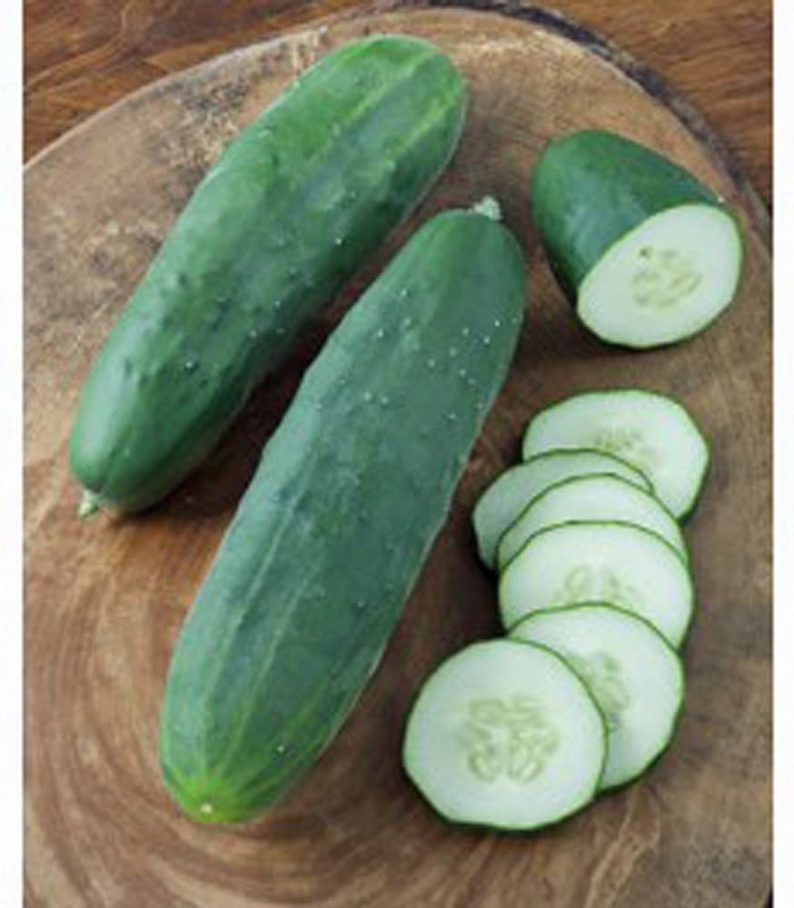 Straight Eight Cucumber Seeds - Seeds of Cucumis Sativus for Organic Gardens