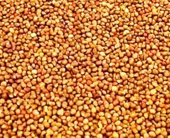 Perilla Frutescens Heirloom Non Gmo Image