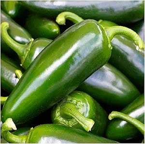Pepper Capsicum annuum Jalapeño vegetable seeds for planting in home garden or indoor pots