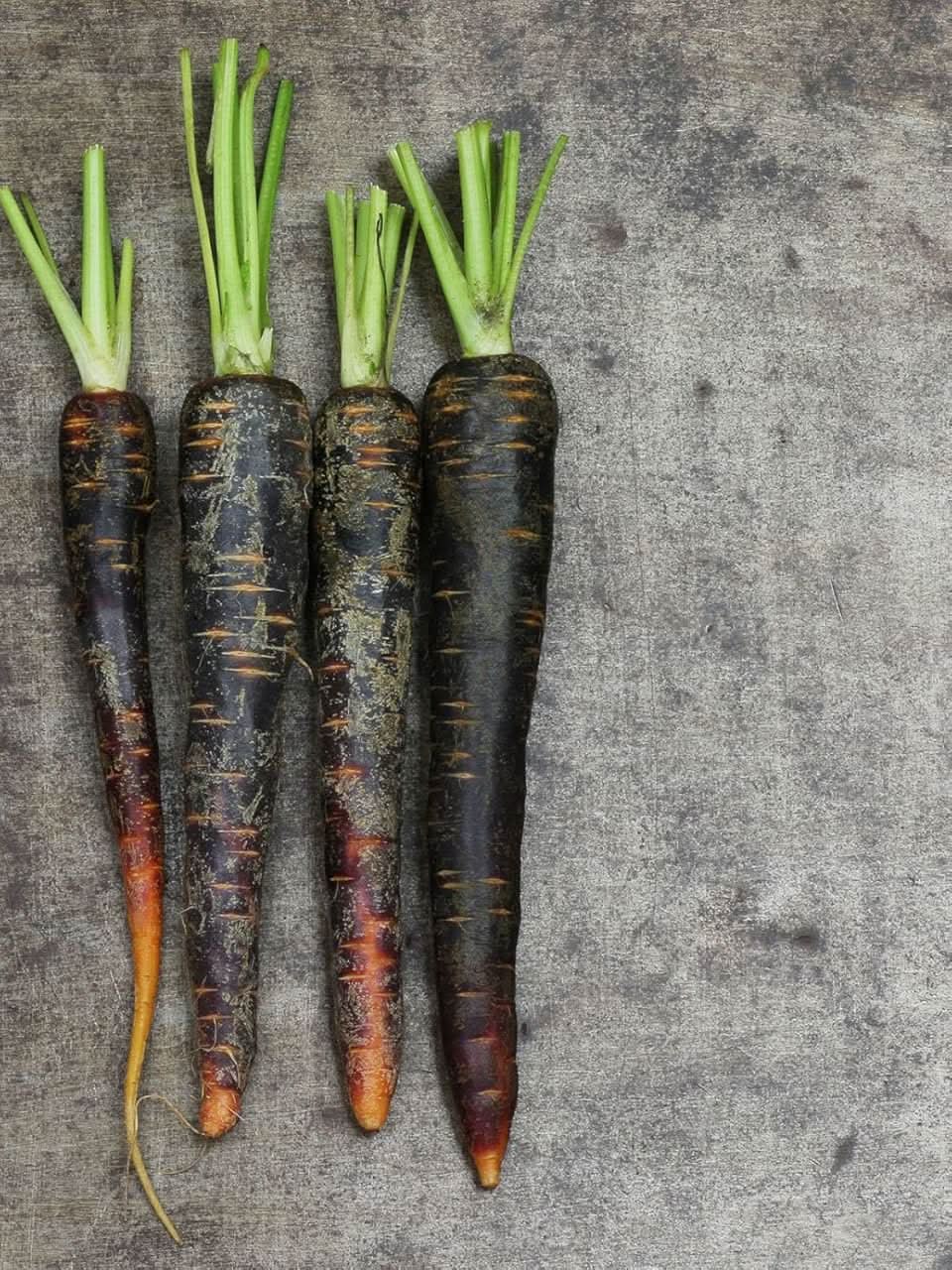 Black Carrot Seeds for Planting