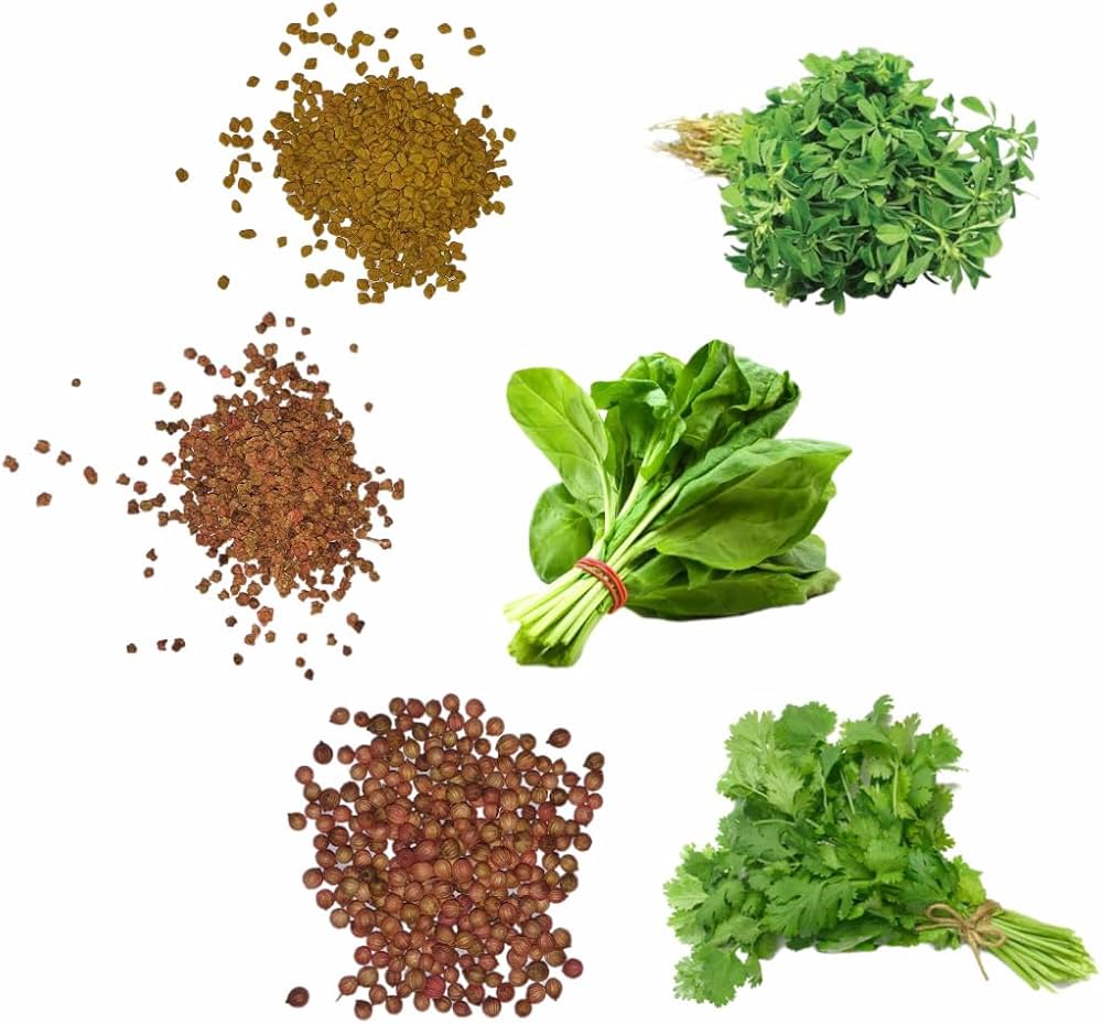 Leafy Vegetable Seeds for Planting