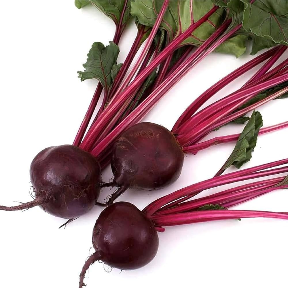 Cylindra Heirloom Beetroot Seeds for Planting vegetable patch