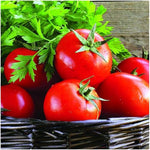 Tomato Solanum lycopersicum for planting in vegetable patch