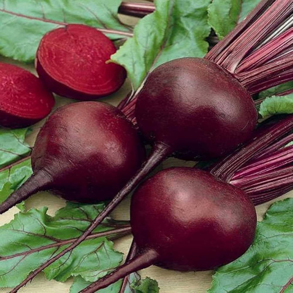 Dark Red Beetroot Cylindra Seeds ( , Edible Organic Vegetables)