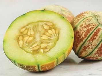 Kajari Melon Seeds for Planting