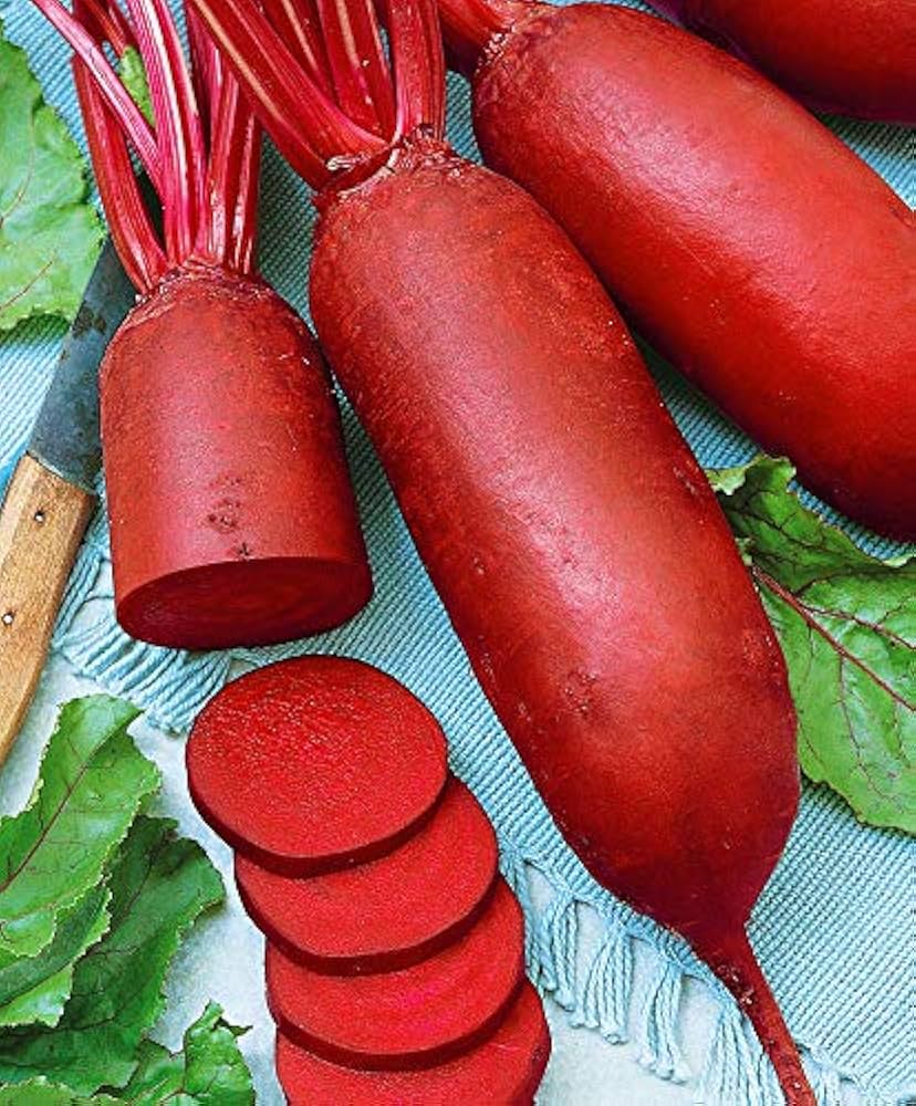 Dark Red Beet Cylindra Seeds ( , Edible Vegetables, Organic)