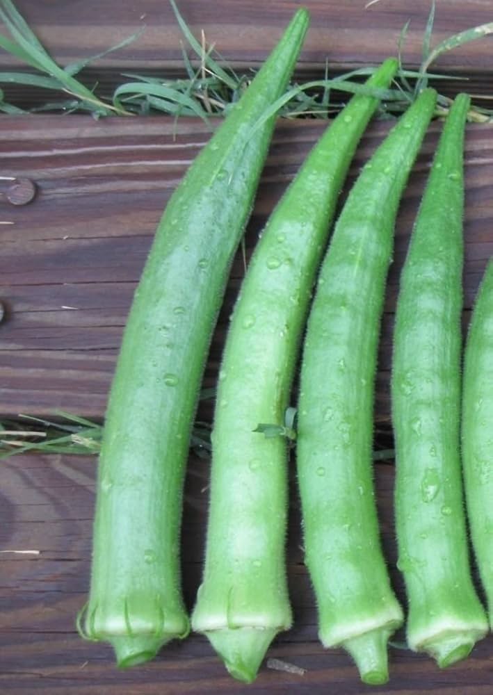 Giant Okra Abelmoschus Esculentus Seeds for planting in urban garden