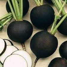 Radish Vegetable Seeds for Planting