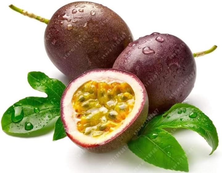 Dwarf Cylindrical Papaya "Kaek Dahm" Fruit Seeds - Compact, Sweet Papaya for Small Gardens