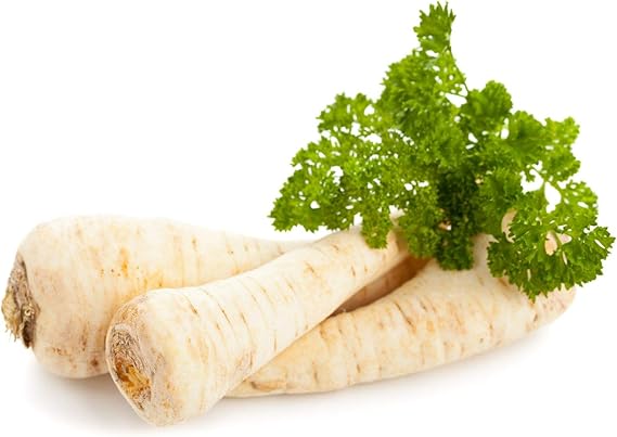 Parsley Hamburg Petroselinum crispum herb seeds for planting in kitchen garden or raised beds