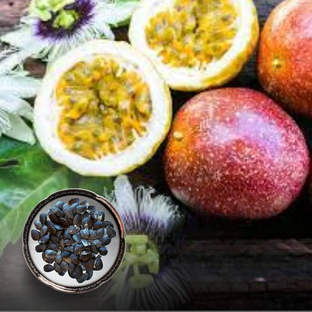 Fruit Mixed Species Sweet Seeds for Planting – Ideal for Edible Landscaping and Home Garden Variety Packs