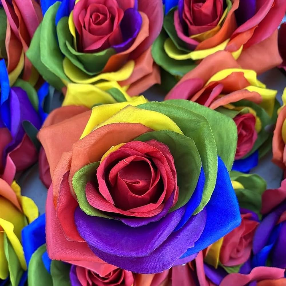 Rainbow Rose seed varieties for home garden and bonsai planting