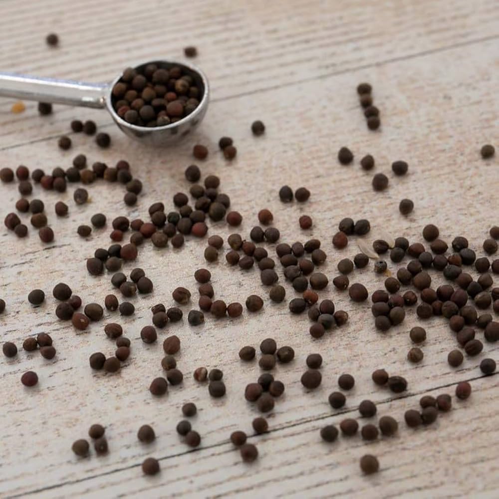 Excellent Field Holding Mid Late Maturity Cabbage For Sowing – Heirloom, Non-GMO, High Germination Organic Garden Seeds