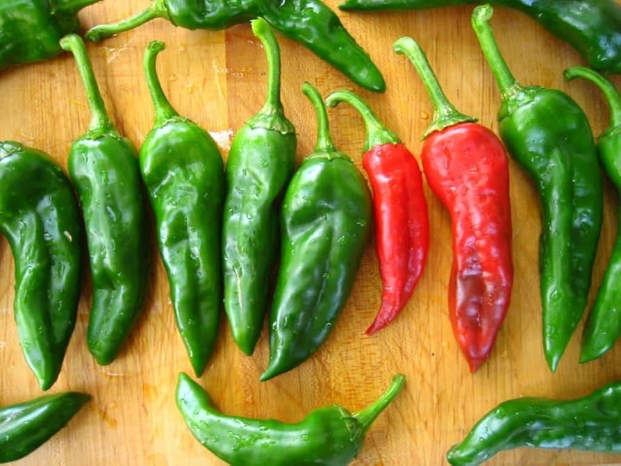 Chimayo pepper Capsicum annuum vegetable seeds for planting in kitchen gardens