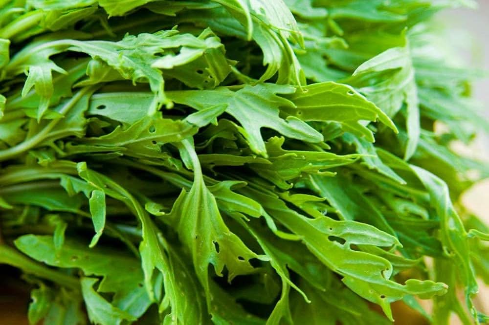 Mizuna Green Mizuna Plant Seeds
