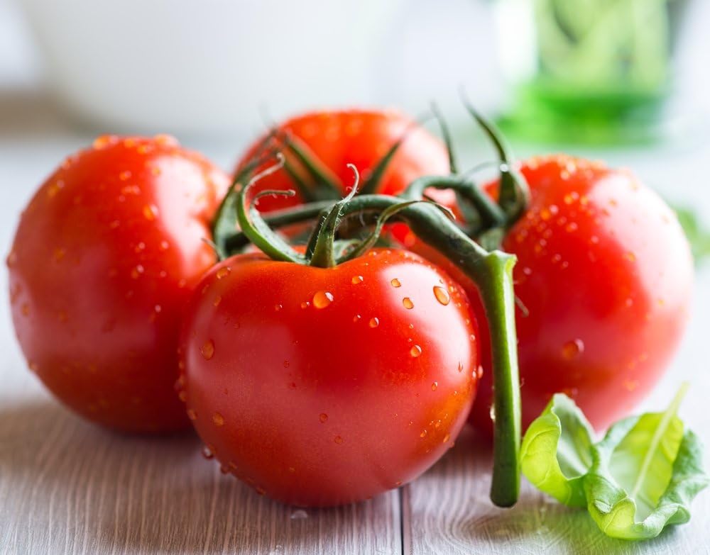 Tomato Seeds - Homestead