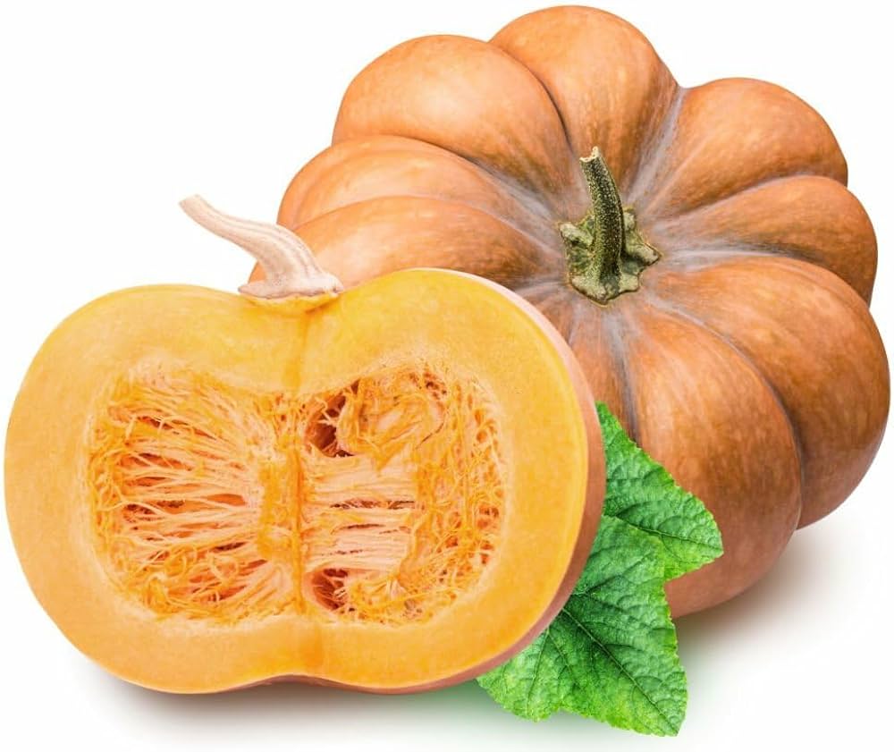 Calabaza Pumpkin Seeds for Planting Cucurbita Moschata vegetable patch edible garden