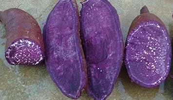 Purple Sweet Potato Vegetable Seeds for Planting heirloom & Non-GMO Seeds