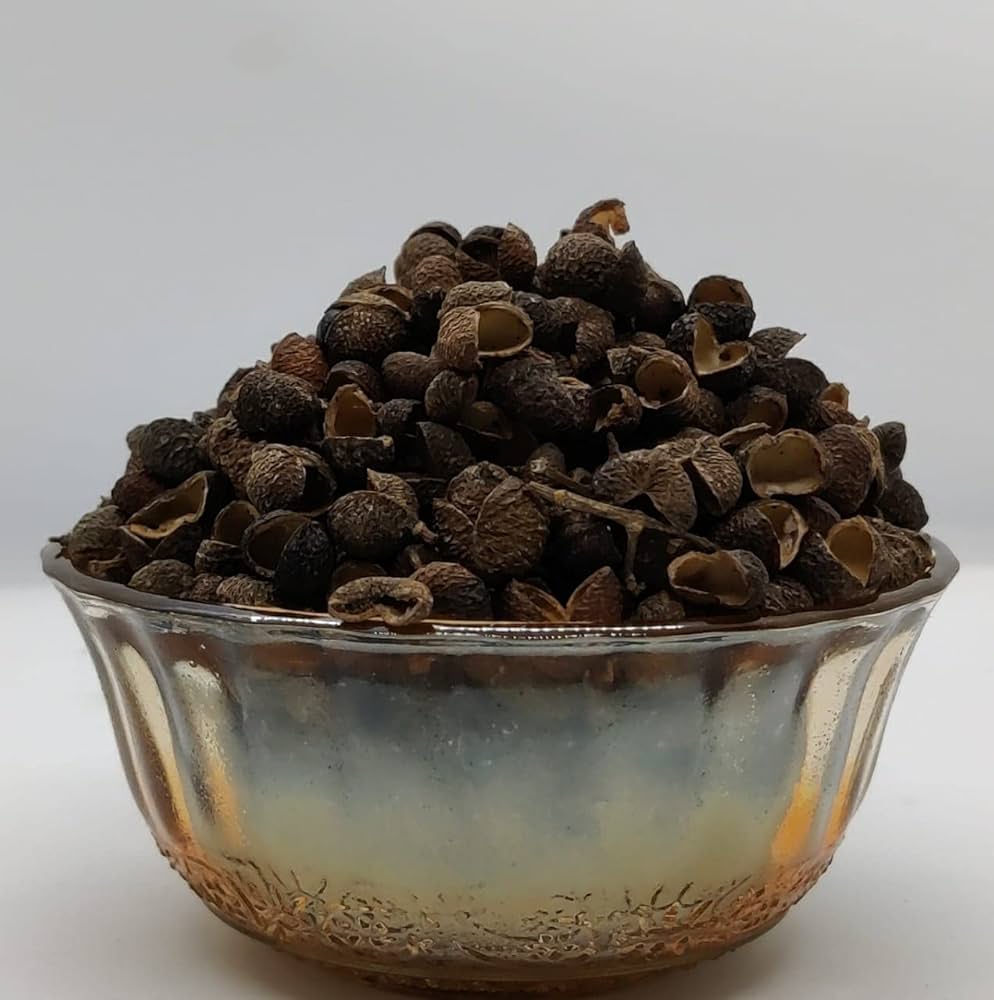 Chinese Ash Pepper Zanthoxylum Bungeanum Seeds for planting in herbal garden