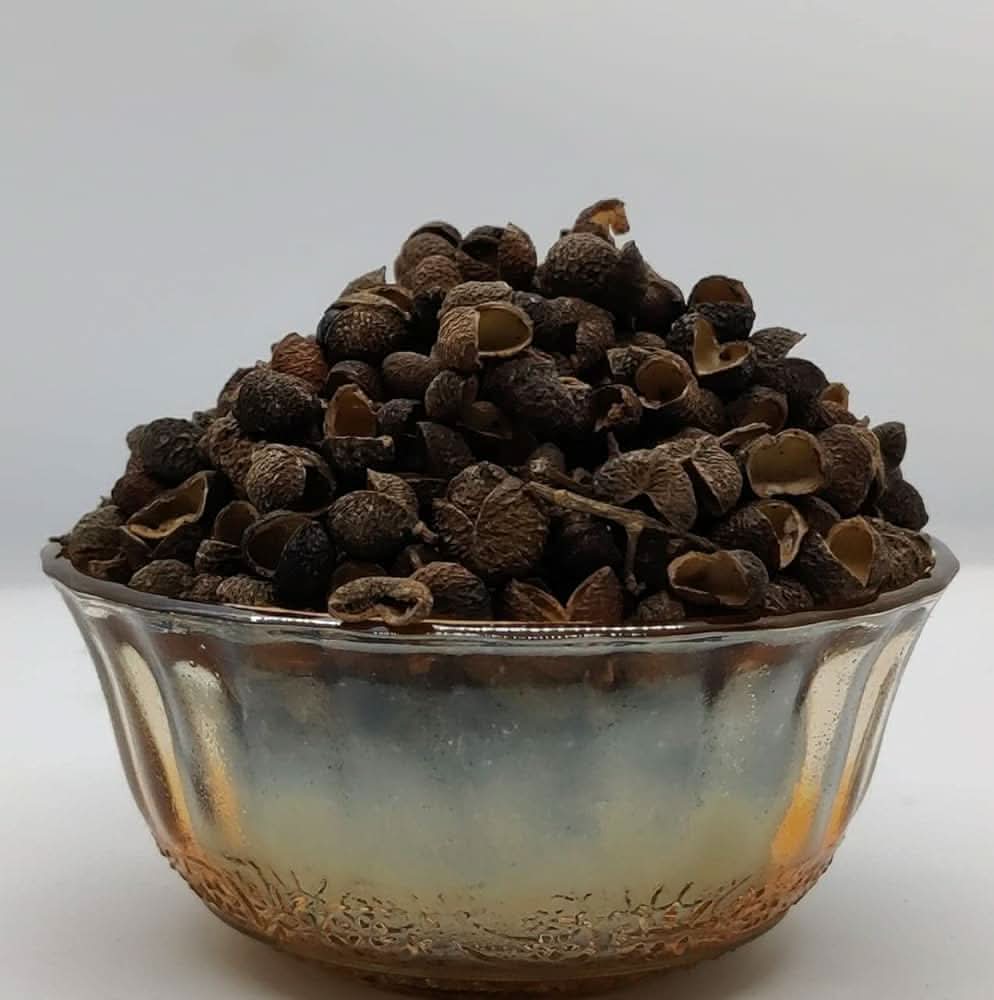 Russian Giant Pepper Organic Heirloom Krasnyy Velikan Chili Seeds